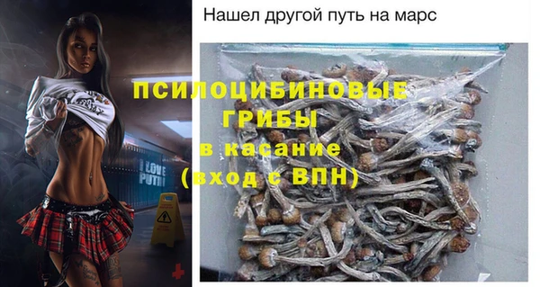 дурь Гусиноозёрск