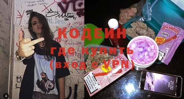 дурь Гусиноозёрск