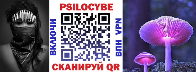 Псилоцибиновые грибы Psilocybine cubensis Купить где Петровск